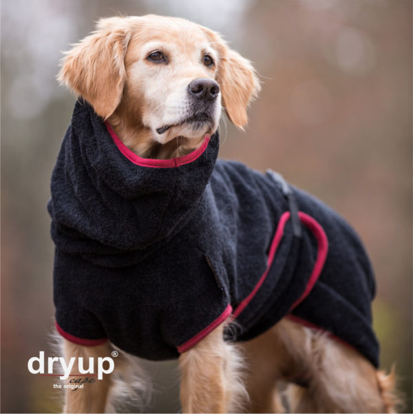 Dryup cape Hundebademantel bis Grösse 4XL
