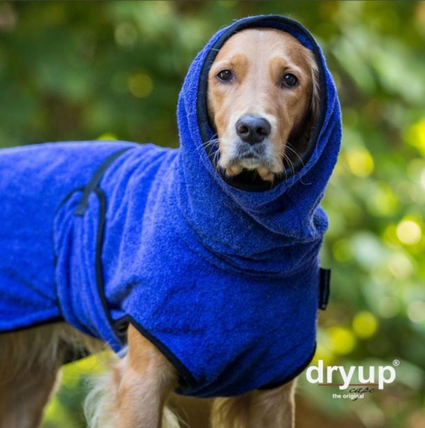 dryup-cape-blueberry-blau-bademantel-hund