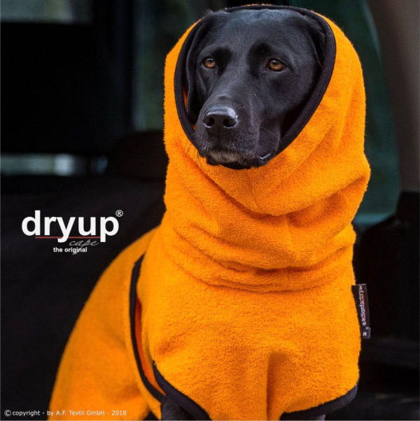 Dryup-cape-clementine-bademantel-hund-orange