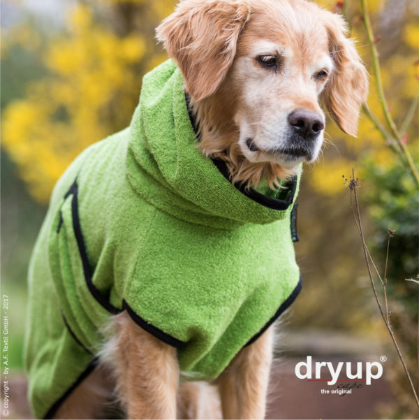 dryup-cape-kiwi-bademantel-grün-hund