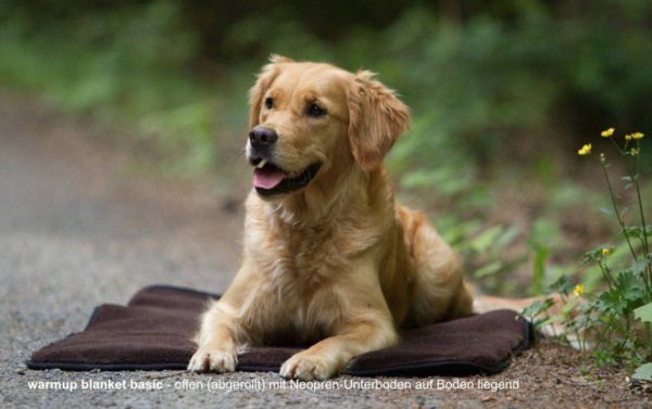 Hundedecke Warmup Blanket basic – Bild 2