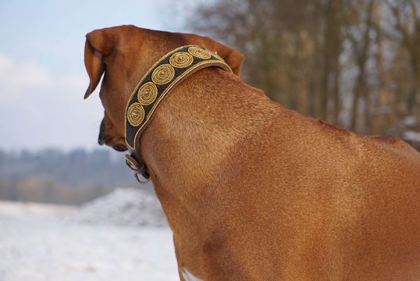 Perlenhalsband Round gold – Bild 4