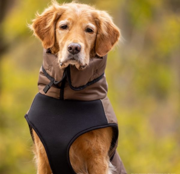 Hundemantel Active Cape elastic plus - braun – Bild 4