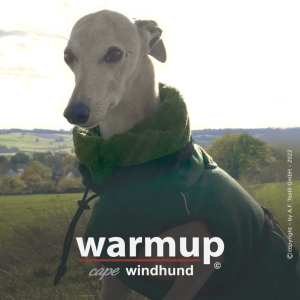 Action-Factory-Pfoetli-Shop-Hundemantel-Windhundemantel-WarmUP-Cape-gruen-pinegreen