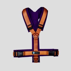 AnnyX-Geschirr-Hundegeschirr-Fun-Hund-Mantrailing-Hundesport-Spaziergang-gute-Passform-limited-edition-zimt-pflaume