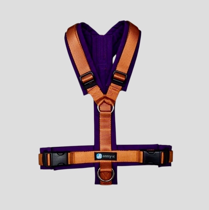 AnnyX-Geschirr-Hundegeschirr-Fun-Hund-Mantrailing-Hundesport-Spaziergang-gute-Passform-limited-edition-zimt-pflaume