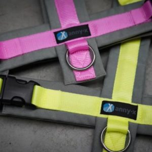 Annyx-brustgeschirr-fun-ergonomisch-hund-hundegeschirr-mantrailing-limited-Edition-grau-leuchtgelb-rosa