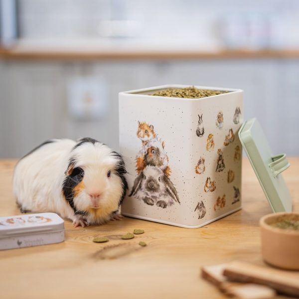 Wrendale Design - Vorratsdose - Gutzidose - Meerschweinchen - Hase - Hamster - grün – Bild 2