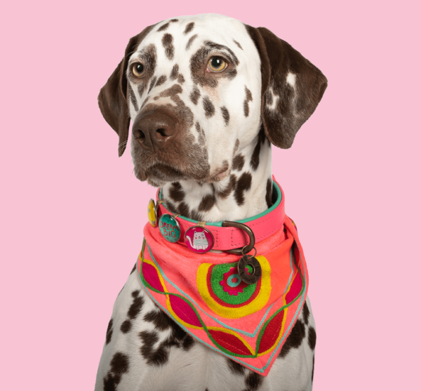 Bandana-Hundebandana-DWAM-Dog with a mission-handgefertigt-hippie-poppy-orange