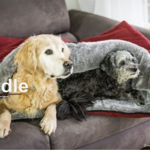 Bett-Hundebett-Hund-Reisebett-Schlafsack-Hundeschlafsack-Hundekuschelbett-Cuddle UP-weich-kuschlig-warm-wandelbar-Webpelz-grau-rot-1