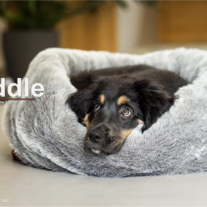 Bett-Hundebett-Hund-Reisebett-Schlafsack-Hundeschlafsack-Hundekuschelbett-Cuddle UP-weich-kuschlig-warm-wandelbar-Webpelz-grau-rot-1