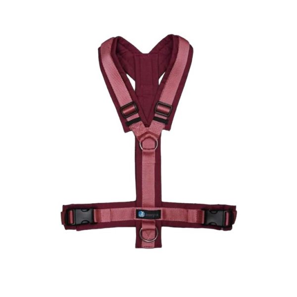 AnnyX Fun ergonomisches Brustgeschirr Hundegeschirr - Sonderfarben – Bild 7