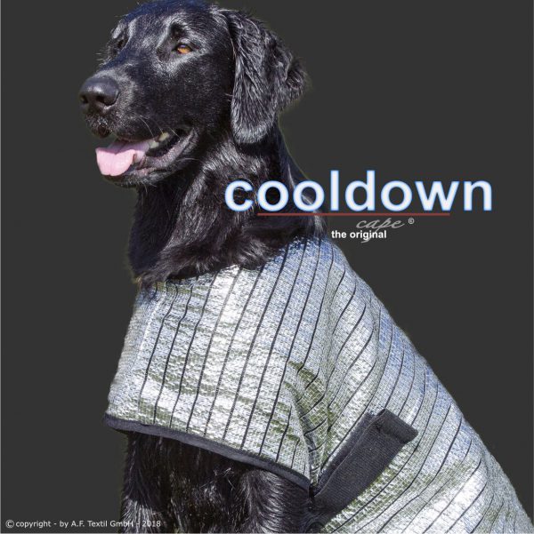 Cooldown Cape_Hitzeschutz_Kuehlweste_Hund-Schattennetz