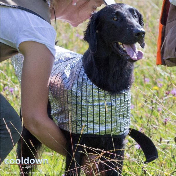 Cooldown Cape von 30 bis 90cm Rückenlänge – Bild 2