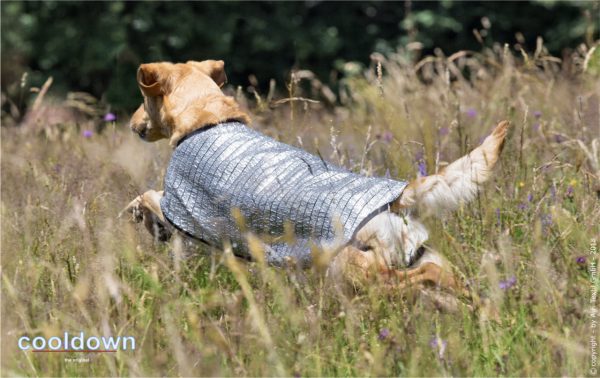 Cooldown Cape von 30 bis 90cm Rückenlänge – Bild 4