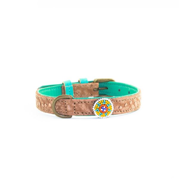 DWAM Phoenix Hundehalsband Dog with a mission – Bild 2
