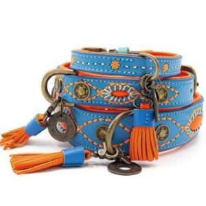 DWAM-Dog-with-a-mission-Hundehalsband-Halsband-weich-komfortabel-Leder-blau-orange