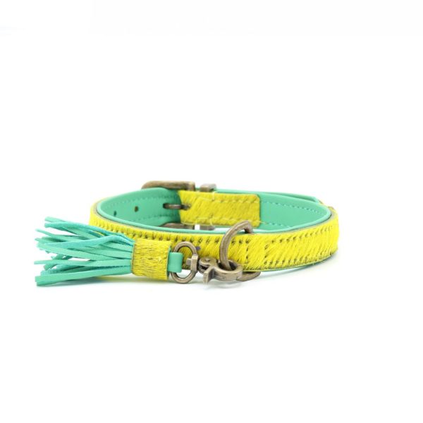 DWAM Cotton Candy Hundehalsband Leine Dog with a mission – Bild 2