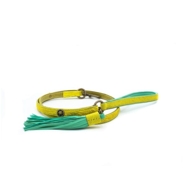 DWAM-Dog-with-a-mission-Hundehalsband-Halsband-weich-komfortabel-Leder-gelb-gruen-Cotton Candy1.jpg