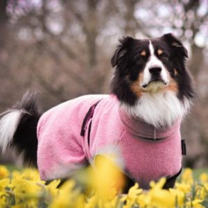 DryUP Cape-Bademantel-Hundebademantel-Hund-Frotee-saugfaehig-trendig