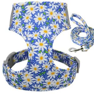 Geschirr-Hundegeschirr-Gstaeltli-Brustgeschirr-Blumen-Margeriten-romantisch-blumig-Hund-Hundeliebhaber-Leine-blau-weiss-gelb.JPG