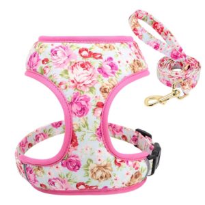 Geschirr-Hundegeschirr-Gstaeltli-Brustgeschirr-Blumen-rosen-pink-vintage-Hund-Hundeliebhaber-Leine.