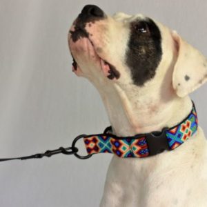 HEKA-PET-Ibizia-Style-Halsband-Hundehalsband-Mexiko-geflochten-Hand-Made-Clickverschluss-schwarzer-D-Ring-Vegan-gruen-blau-gelb-Cactus-Zugstopp
