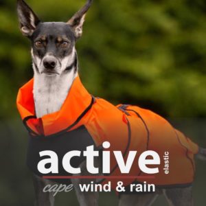 Hund-Regenmantel-Pfoetli Shop-Action factory-Hunderegenmantel-Cape-Hunde Cape-orange-4
