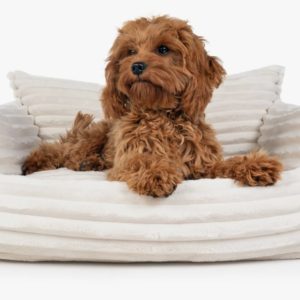 Mypado-Padsforall-Hundebett-Katzenbett-Plushcord-Kanapo-kuschlig-weich-viscoelatische-Liegeflaeche-waschbar-abhiehbar-hoher-Liegecomfort-orthpaedische-Liegeflaeche-creme