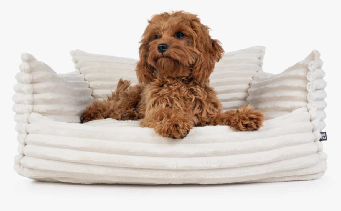 Mypado-Padsforall-Hundebett-Katzenbett-Plushcord-Kanapo-kuschlig-weich-viscoelatische-Liegeflaeche-waschbar-abhiehbar-hoher-Liegecomfort-orthpaedische-Liegeflaeche-creme