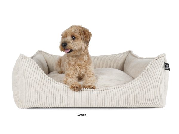 Padsforall - Hundebett -  Dreamer Cord in 6 Farben – Bild 7