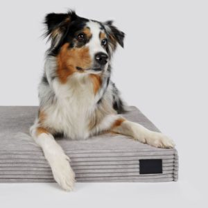 Padsforall-mypado-Hundebett-Cord-gelenksschonend-viscoelastisch-waschbar-multicolor-Matte-1