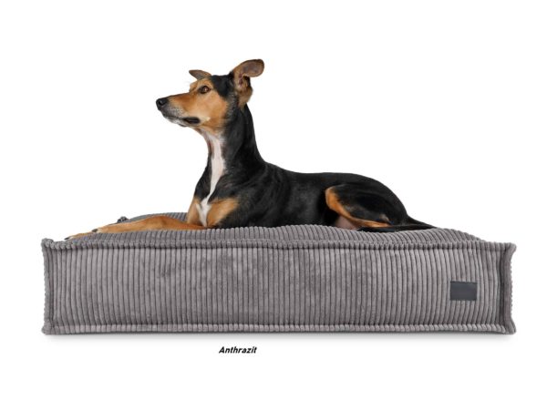 Padsforall - Hundebett -  Flow Cord in 4 Farben – Bild 2