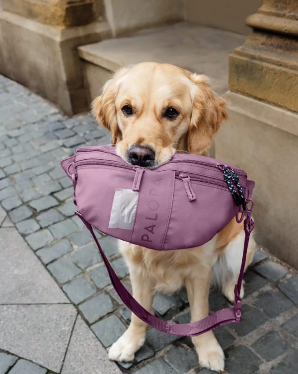 Palopa - LECKERLIBEUTEL-EMMA - Gassitasche - Bum Bag - berry – Bild 3
