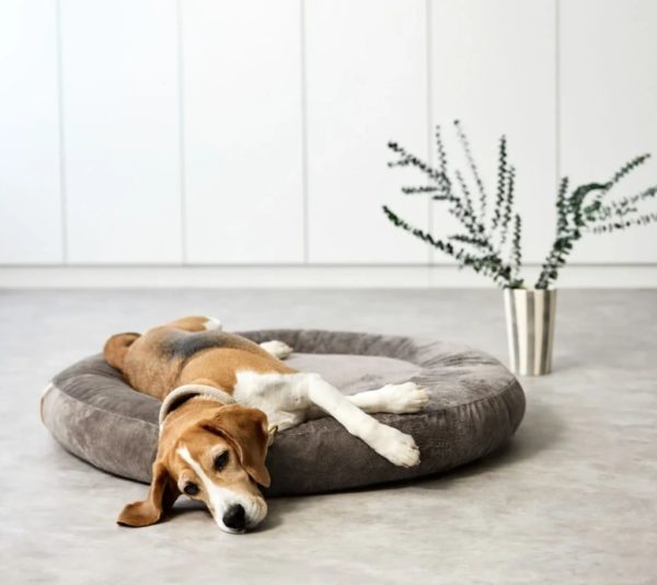 Palopa - Hundebett rund - Kuschelbett - Hundedonut - Fippa - taube – Bild 8
