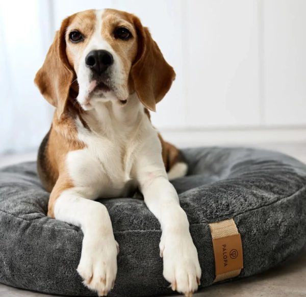 Palopa-Hundebett-Bett-Hundedonut-Donut-Bettfuerengel-nachhaltig-waschbar-abziehbar-vegan-biobaumwolle-recycelt-fippa-anthrazit-grau-6