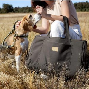 Hundebett für Unterwegs