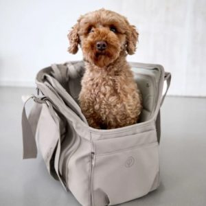 Palopa - Hundetasche - Weda - taupe