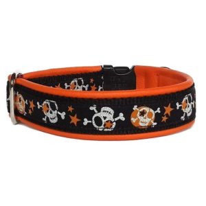 Pfoetli Shop-Halsband-Hundehalsband-Leder-Clickverschluss-Borte-Skulls-Totenkoepfe-orange-schwarz-silber