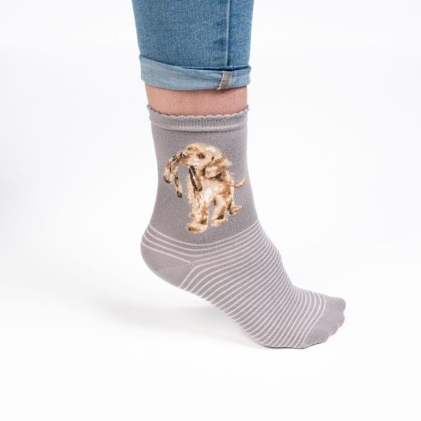Wrendale Design - Bambus Socken - Hund - Streifen – Bild 2