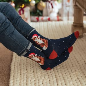 Socken-Wrendale-Designs-Bambussocken-Bambus-Socken-Damen-Einheitsgroesse-Geschenk-Gift-Ente