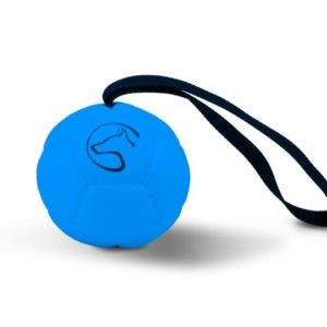 Speed Dogsport-Ball-Hundeball-Trainingsball-Spielzeug-Hundespielzeug-Hundesport-Belohnung-Belohnungsball-blau