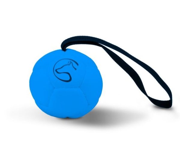 Speed Dogsport-Ball-Hundeball-Trainingsball-Spielzeug-Hundespielzeug-Hundesport-Belohnung-Belohnungsball-blau