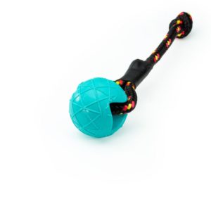 Speed-Dogsport-Ball-Hundeball-Trainingsball-Spielzeug-Hundespielzeug-Hundesport-Belohnung-Belohnungsball-tuerkis