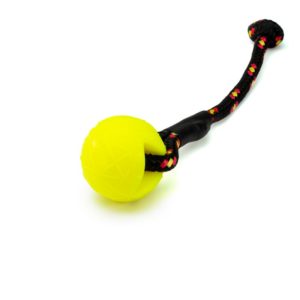 Speed dog Sport-moby-dog-ball-mit-schlaufe-by-speed-dogsport-schwimmend-robust-hund-hundesport-PVC frei-geruchsneutral-anti allergen-gelb