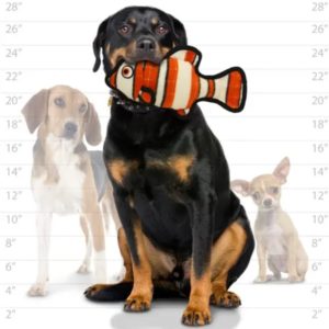 Spielzeug-Hundespielzeug-Hund-Spass-Hundespass-dauerhaft-schwimmt-Clownfisch-Fisch-gross-orange-weiss