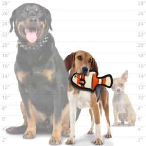 Spielzeug-Hundespielzeug-Hund-Spass-Hundespass-dauerhaft-schwimmt-Clownfisch-Fisch-mittel-orange-weiss