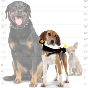 Spielzeug-Hundespielzeug-Hund-Spass-Hundespass-dauerhaft-schwimmt-Pinguin-weiss-schwarz-orange-mittel