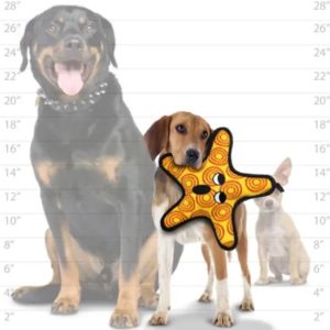 Spielzeug-Hundespielzeug-Hund-Spass-Hundespass-dauerhaft-schwimmt-Seestern-gelb-mittel