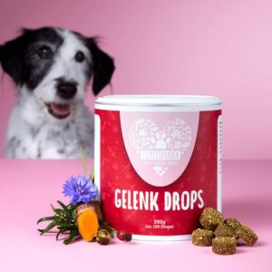 Tierliebhaber-gesund-natuerlich-kraeuter-pflanzlich-Gelenke-Gelenkschmerzen-Hund-Hundegesundheit-Keks-gesunder Keks-Hundewohl-Hundegesundheit